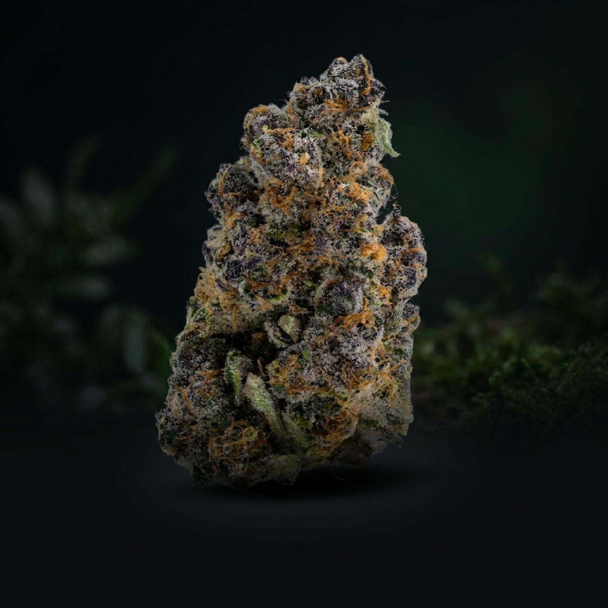 Coming soon — Rare Earth by Pitbull Acres